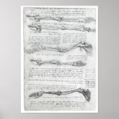 De bovenbouw, Leonardo da Vinci Poster (Voorkant)