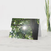 De bovenkant van de boom kaart (Achterkant)