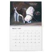 "De boviene Comedy" Kalender (Feb 2027)