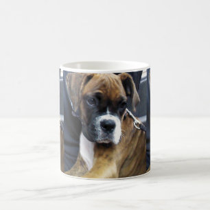 DE BOXER DOG mok