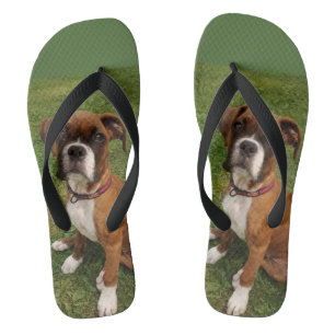 DE BOXER DOG teenslippers