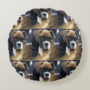 DE BOXERHOND kussen