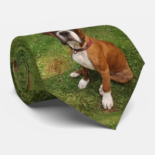 DE BOXERHOND stropdas (Opgerold)