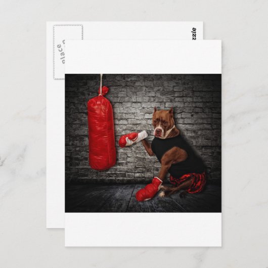 De boxing Pit Briefkaart (Voorkant / Achterkant)