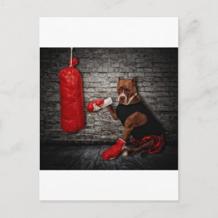 De boxing Pit Briefkaart