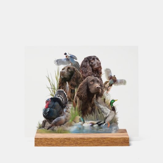 De Boykin Spaniel Acryl Bord (Voorkant)