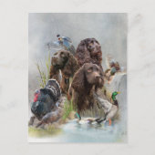 De Boykin Spaniël Briefkaart (Voorkant)