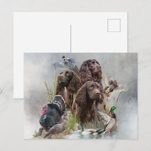 De Boykin Spaniël Feestdagenkaart (Voorkant / Achterkant)