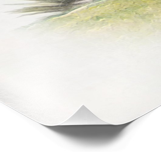 De Boykin Spaniël Foto Afdruk (Hoek)