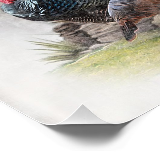 De Boykin Spaniël Perfect Poster (Hoek)