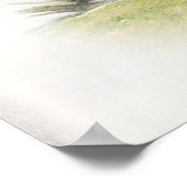 De Boykin Spaniël Poster (Hoek)