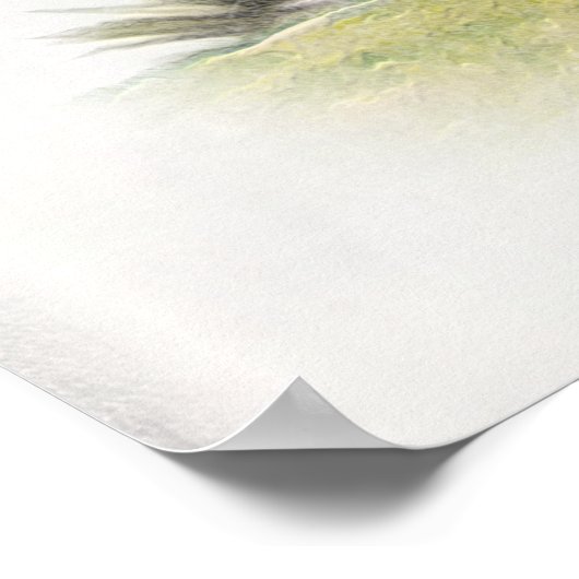 De Boykin Spaniël Poster (Hoek)