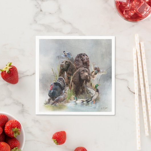 De Boykin Spaniël Servet (Insitu)