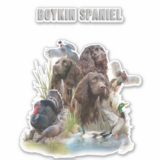 De Boykin Spaniël Sticker (Voorkant)