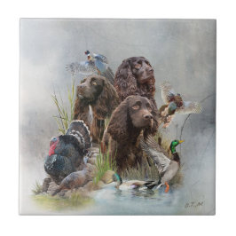 De Boykin Spaniël Tegeltje