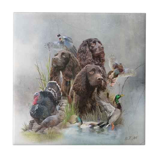 De Boykin Spaniël Tegeltje (Voorkant)