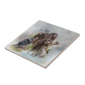 De Boykin Spaniël Tegeltje (Zijkant)