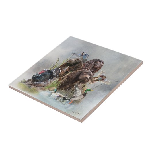 De Boykin Spaniël Tegeltje (Zijkant)