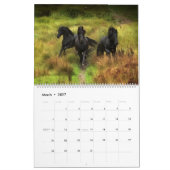 De Boyz-bos - run Wild Kalender (Mar 2027)