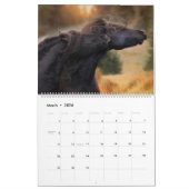 De Boyz-bossen in het wild Kalender (Mar 2026)