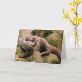 De boze Wenskaarten van de Otter Kaart (Gele Bloem)