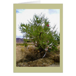 De Bra-Struik ondergoed