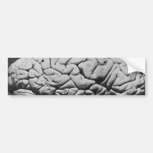 DE BRAIN VAN CHARLES BABBAGE (1909) BUMPERSTICKER (Voorkant)