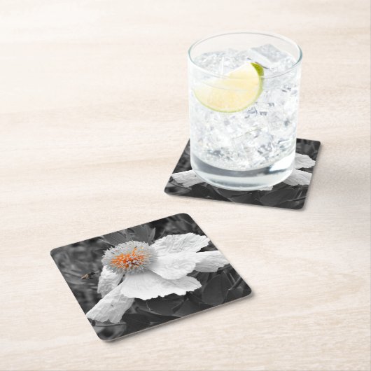 De brand binnen kartonnen onderzetters (Insitu)