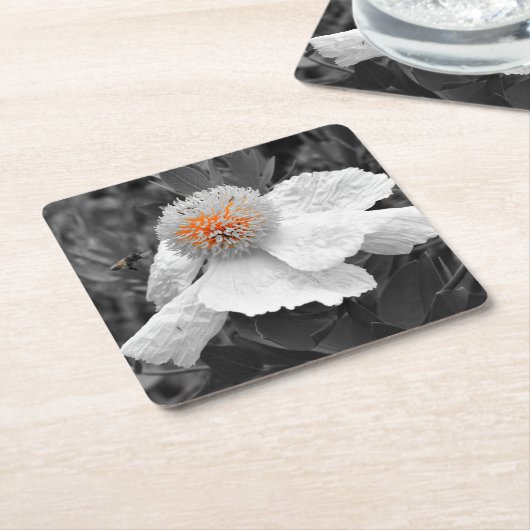 De brand binnen kartonnen onderzetters (Schuin)