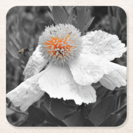 De brand binnen kartonnen onderzetters