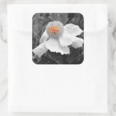 De brand binnen vierkante sticker (Tas)