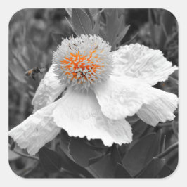 De brand binnen vierkante sticker