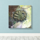 De Brandberg Massif in Noord-Namibië Canvas Afdruk (Insitu (Houten vloer))