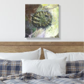 De Brandberg Massif in Noord-Namibië Canvas Afdruk (Insitu (Slaapkamer))