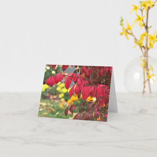 De brandende struik kaart (Gele Bloem)