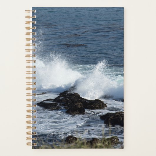 De branding van de Stille Oceaan Planner (Voorkant)