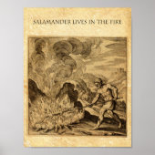 DE BRANDSTOFAMANDER VAN DE OCCULT POSTER (Voorkant)