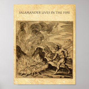 DE BRANDSTOFAMANDER VAN DE OCCULT POSTER