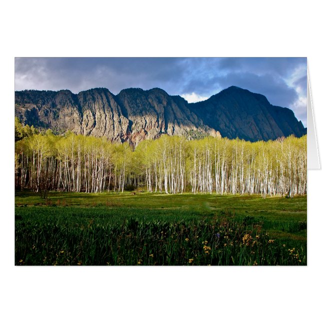 De Brazos in New Mexico (Voorkant Horizontaal)