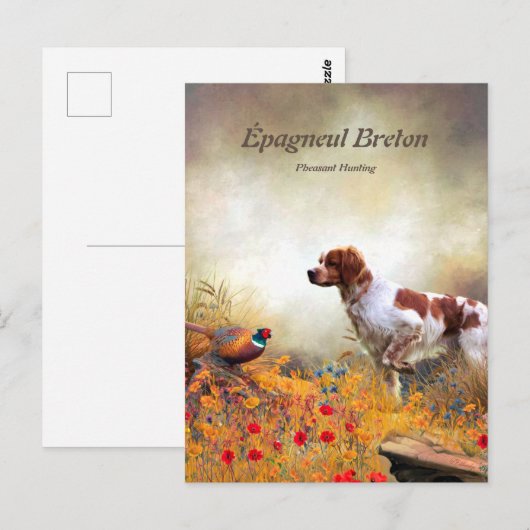 De Bretagne Spaniels, vogeljacht seizoen Briefkaart (Voorkant / Achterkant)