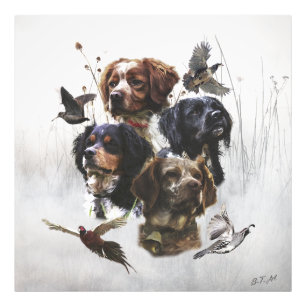 De Bretagne Spaniels, vogeljacht seizoen Foto Afdruk