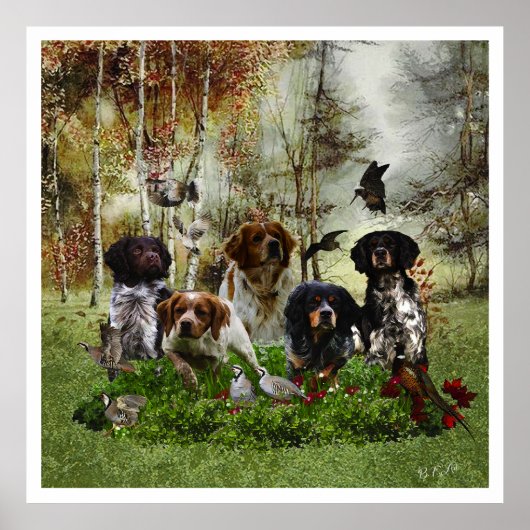 De Bretagne Spaniels, vogeljacht seizoen Poster (Voorkant)
