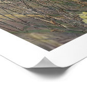 De Bretagne Spaniels, vogeljacht seizoen Poster (Hoek)