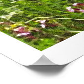 De Bretagne Spaniels, vogeljacht seizoen Poster (Hoek)