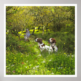 De Bretagne Spaniels, vogeljacht seizoen Poster
