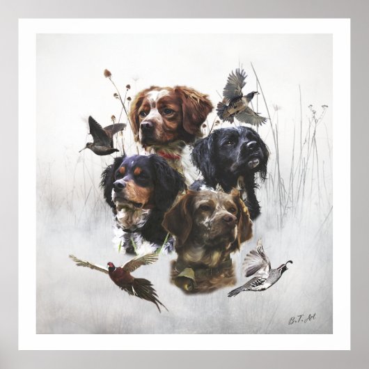 De Bretagne Spaniels, vogeljacht seizoen Poster (Voorkant)