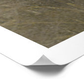 De Bretagne Spaniels, vogeljacht seizoen Poster (Hoek)