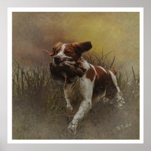 De Bretagne Spaniels, vogeljacht seizoen Poster