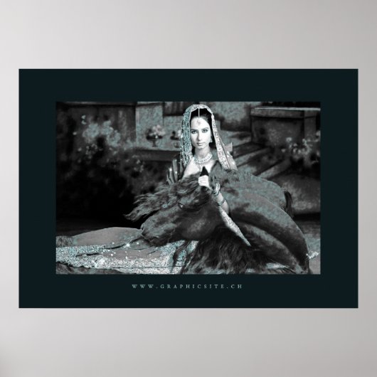 De Bride - Poster (Voorkant)