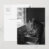 De Briefkaarten van de keukengootsteen (Voorkant / Achterkant)